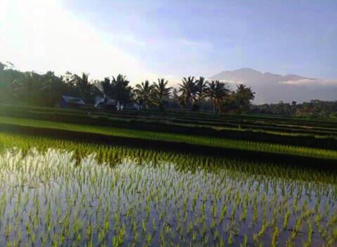 Sky Garden Lombok Apartment Tetebatu Exterior photo